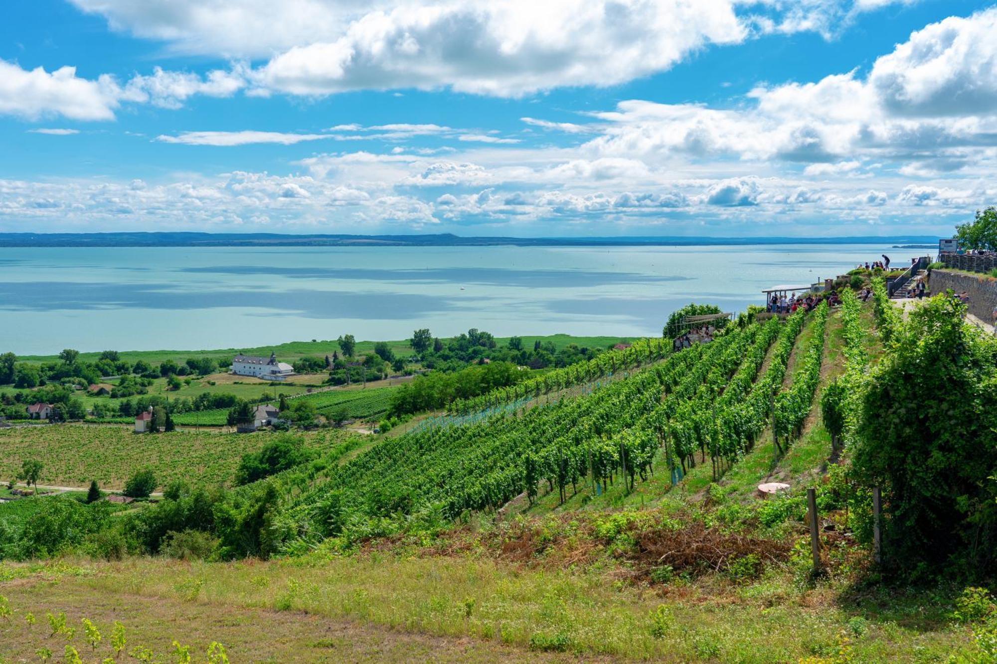 Lake Side Luxury Steps To The Lake Lela - Happy Rentals Balatonlelle Exteriör bild